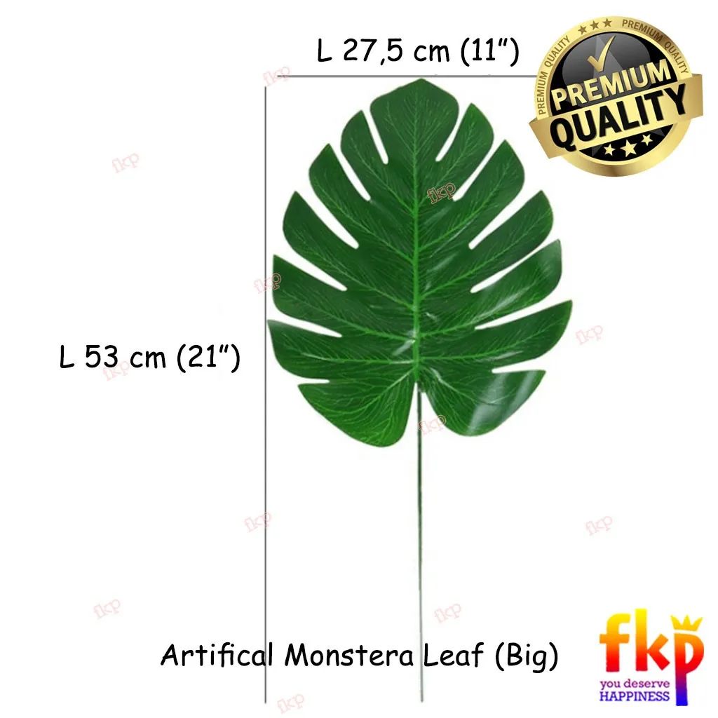 Monstera Large
